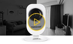 Обзор беспроводной IP-камеры Wanscam HW0026